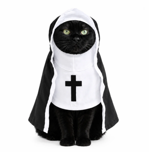 White cat dressed as the Pope in red-and-white cape, gold-trimmed stole, and white-and-gold mitre hat with fabric cross