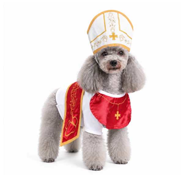 Dachshund in black priest hoodie costume holding a plush brown Bible with gold fabric cross